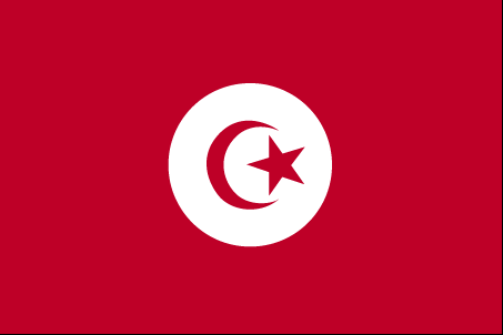 Tunisia Embassy Flag