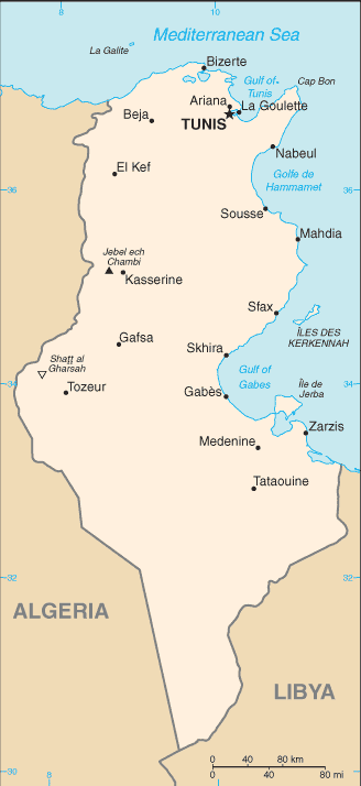 Tunisia Embassy Map