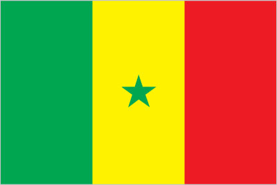 Senegal Embassy Flag