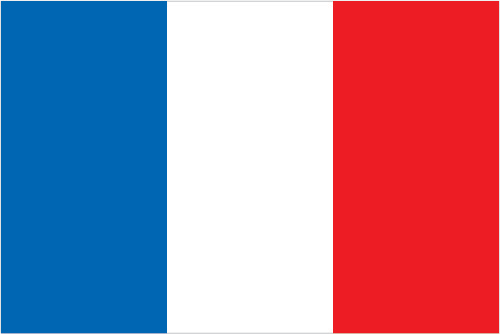 France Embassy Flag