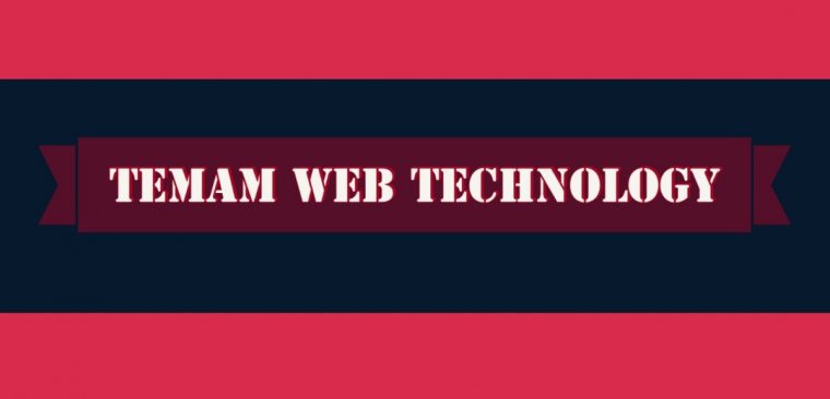Temam Web Technology Picture